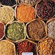 Organic Pulses